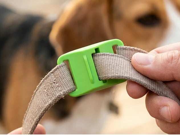 🐕12 شهرًا خالية من البراغيث والقراد⏰