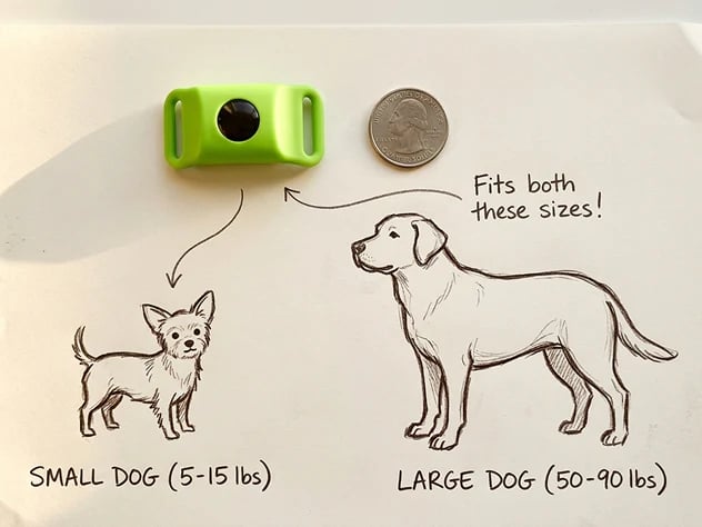 🐕12 شهرًا خالية من البراغيث والقراد⏰